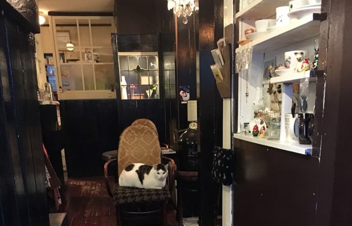 cafemaru_space_004