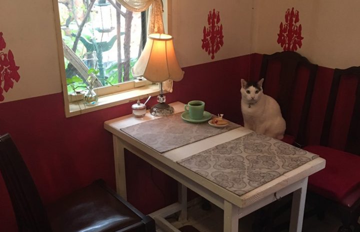 cafemaru_space_008